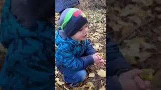 28 грудня 2023 р.
