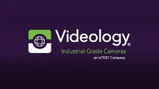 The New Videology is Here