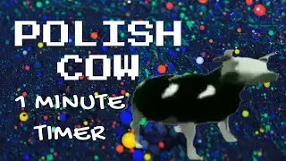 POLISH COW 🐄 1 minute timer❗️