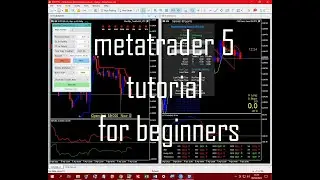 metatrader 5 (MT5 MQL5) tutorial for beginners