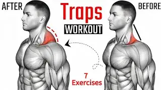 7 Exercises For Traps in 1 minute