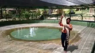 Langkawi Crocodile Park