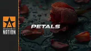 Guitar Pop Type Beat | PETALS