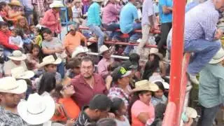 JARIPEO EN LA LABORCILLA 41 AGOSTO 2016pte 5