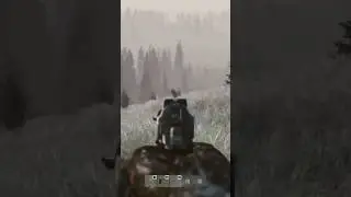 Dayz cheh 