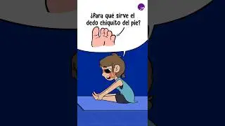 ¿Para qué sirve el dedo chiquito del pie?