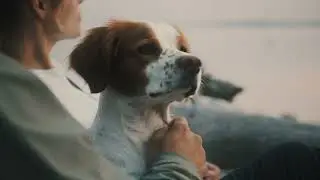 Thule Allax dog crates - www.roofracks.co.uk