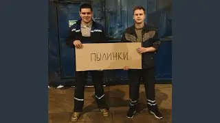 Пылинки