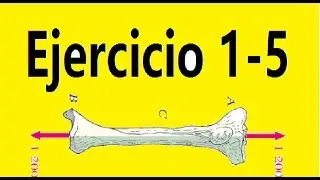 Resistencia de materiales: Calculo de esfuerzos normales debidos a carga axial, ejercicio 1-5 Beer