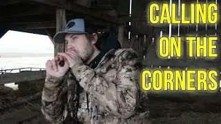 How To Call Ducks On The Corners