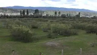 GENÇ BİNGÖL MURAT NEHRİ