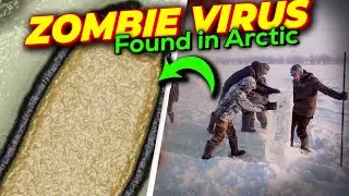 Why ARCTIC ZOMBIE VIRUS may Trigger Deadly Pandemic?