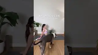 【つまずきやすい人は絶対やるべき】梨状筋ほぐし！ #ピラティス #宅トレ