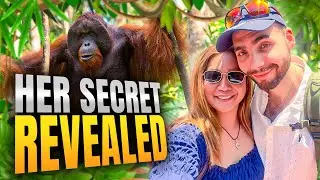 Meeting Orangutans: A Dream Come True!