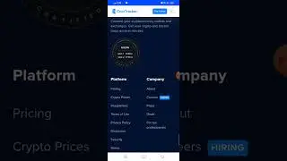 cryptocurrency Bitcoin BTC USD live market charts prices | daily trends market cap & crypto finance