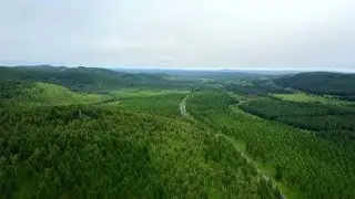 China's Saihanba afforestation community wins UN Champions of the Earth Award