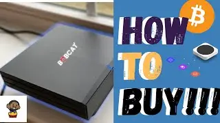 This is how I ordered my Helium bobcat miner