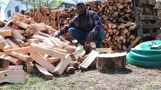 Stacking Pine Firewood