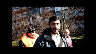 Очередная вырубка деревьев в Краснодаре