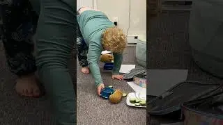 Guinea pig school 🤪