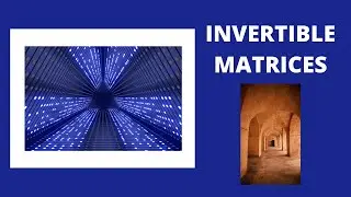 Invertible Matrices  # 26