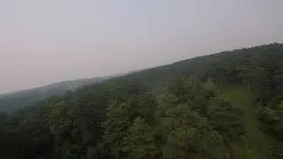 Кемерово. Сосновый бор.