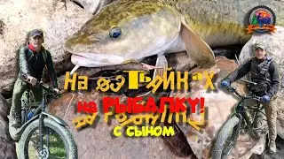 На РЫБАЛКУ на ФЭТБАЙКАХ с СЫНОМ! 