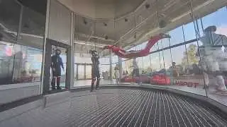 Flyspot