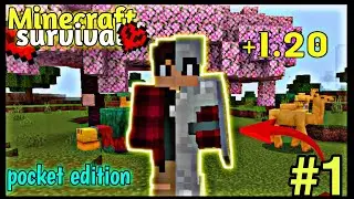 Best start ever | Minecraft pocket edition survival series 1.20 | survival series episode #1