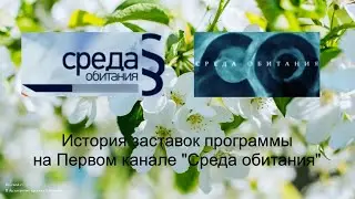 Выпуск №35. История заставок программы на Первом канале 