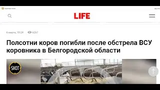 Убито около 50 коров после обстрела. Может хватит плакать, что нет тротуаров и бордюров?