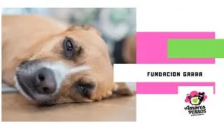 Fundación GARRA, busca voluntarios.