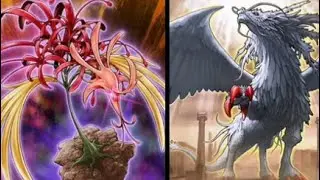 Edison Format Amaryllis Lightsworn w/ Judgment Dragon Deck Profile
