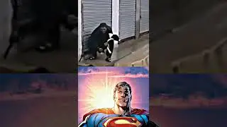 #starman #superman #trending #memes