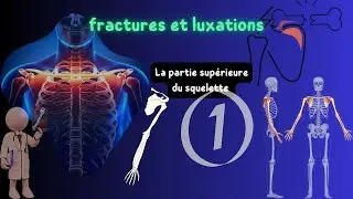 orthopédie-traumatologie Fractures des os supérieurs