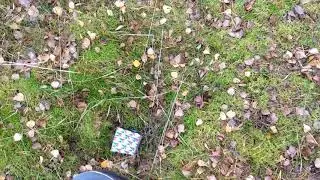 Сохраним природу чистой!