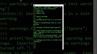 [Python] How to Turn Off Python Warnings
