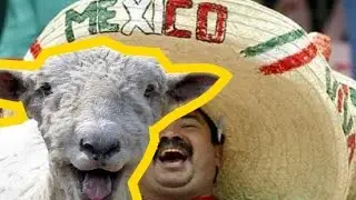 Drunk Mexican riding sheep