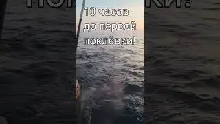 Троллинг лосося#Балтика#SalmonTrolling#BalticSea#2024 #pennsylvania #smallmouth