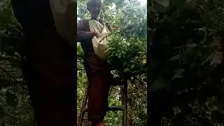 New funny video hai Nadar khan ka