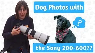Sony 200-600 for DOG Photography?