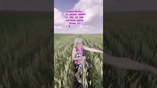 Деньги приходят на состояние 💲💲💲 