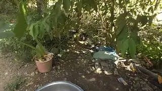 PAANO KUMITA NG EXTRA l ANO ANG MGA MAARING ALAGAAN KUNG MAYROON TAYONG MALUWANG NA BAKURAN