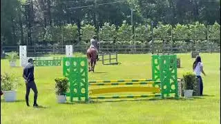 Enzo by Fape, stallion 2019 by Emerald x Baloubet
