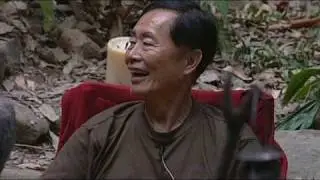 I'm a celeb- lion sleeps tonight [High Quality]