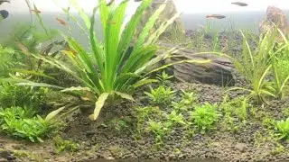 미야자키 하야오 x Fish Fun2