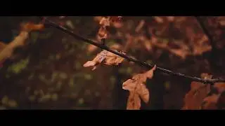 Canon 6d cinematic Last day of autumn