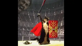 Вовская нарезка(пвп)