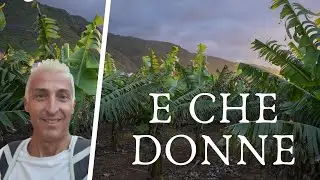 E che donne lavoratrici !
