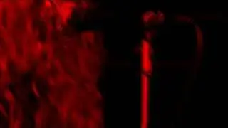 Los Bastardos Finlandeses -  Red Eyed Rock´n´Roller
